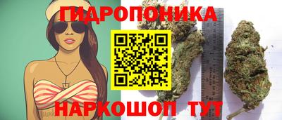 трава Гусь-Хрустальный